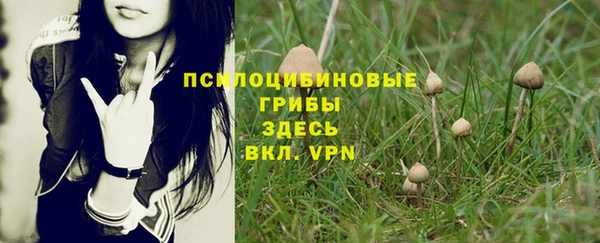 apvp Балахна